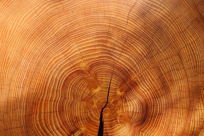 Olej na drevo z kvalitných surovín